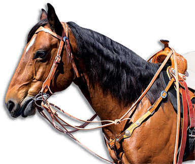 Tender Touch Training Package, 7030 – Sharon Camarillo