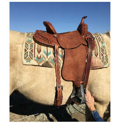 Balanced Riders create Balanced Horses