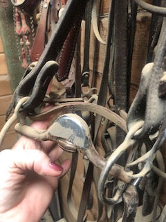 California Ported Snaffle for the Bitting Process