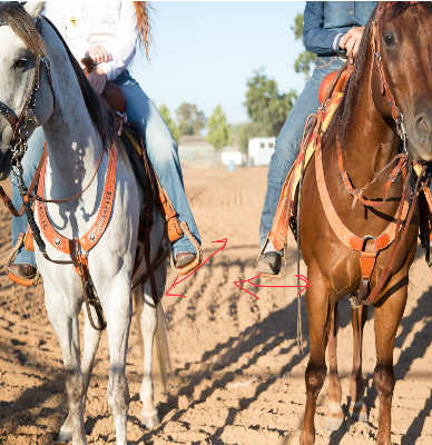 Stirrup Types:  Comfort, Balance & Performance