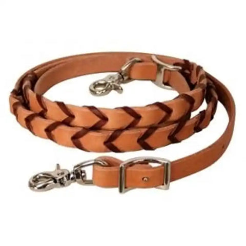 Reins